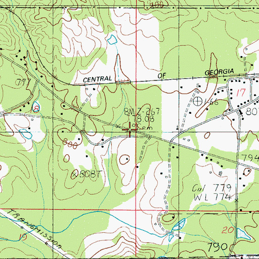Topographic Map of Hollins Spring Church, AL
