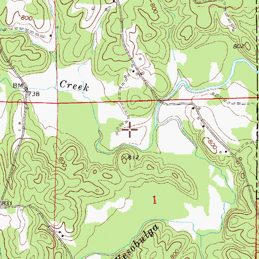 Topographic Map of Mitchell Prospect Number One, AL