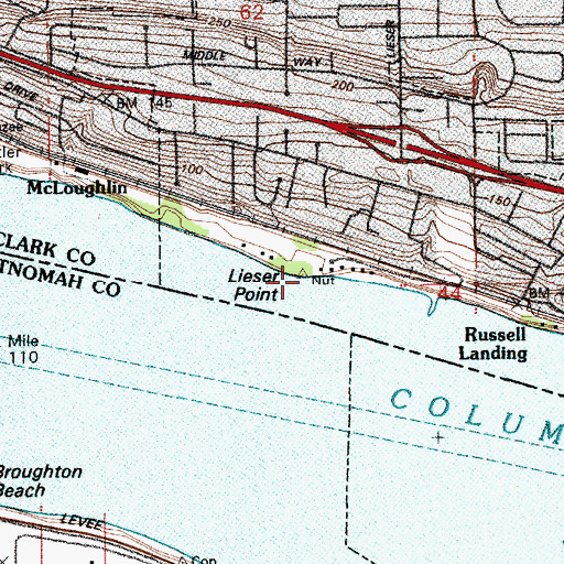 Topographic Map of Lieser Point, WA