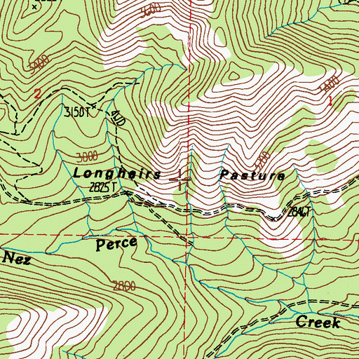 Topographic Map of Longhairs Pasture, WA