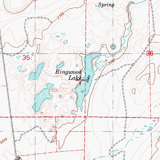Topographic Map of Ringwood Lake, WA