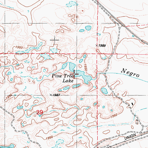 Topographic Map of Pine Tree Lake, WA