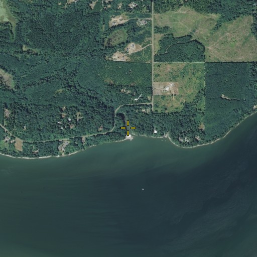 Aerial/Satellite Image of Bowman Cove, WA