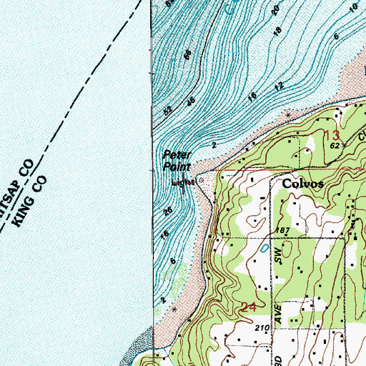 Topographic Map of Peter Point, WA