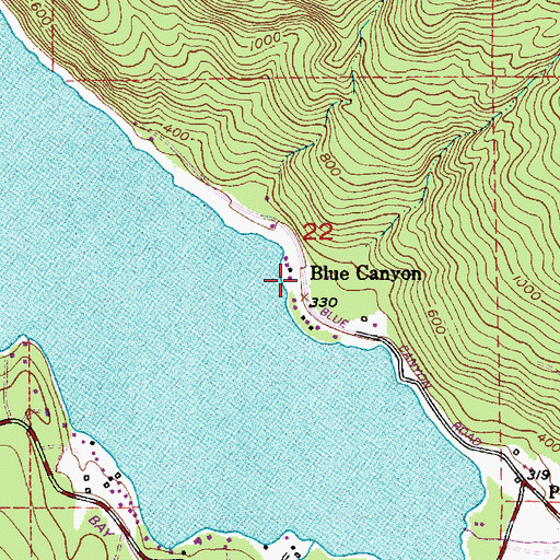 Topographic Map of Blue Canyon, WA