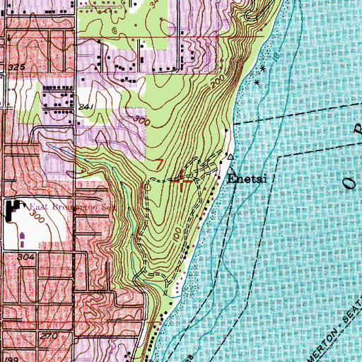 Topographic Map of Enetai, WA