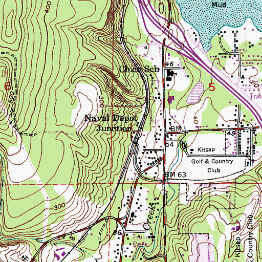 Topographic Map of Naval Depot Junction, WA