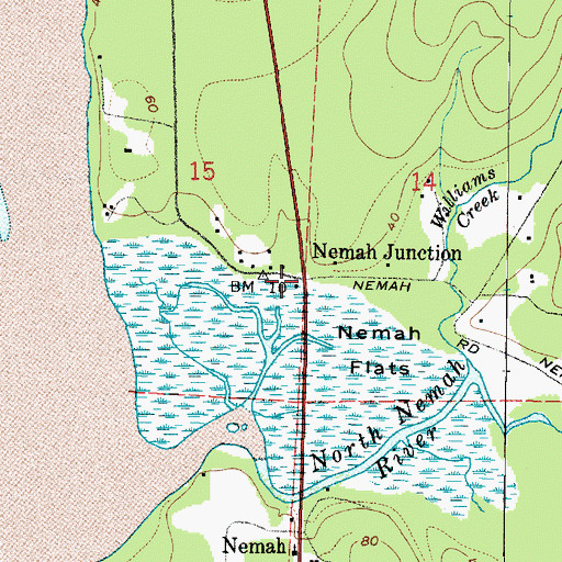 Topographic Map of Nemah Junction, WA