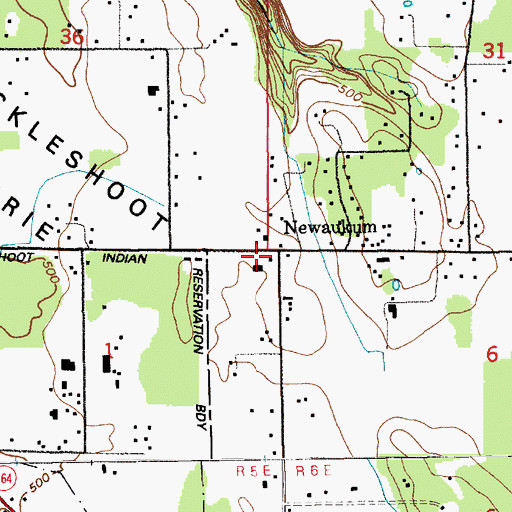 Topographic Map of Newaukum, WA