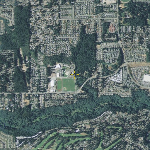Aerial/Satellite Image of Peach Acres, WA