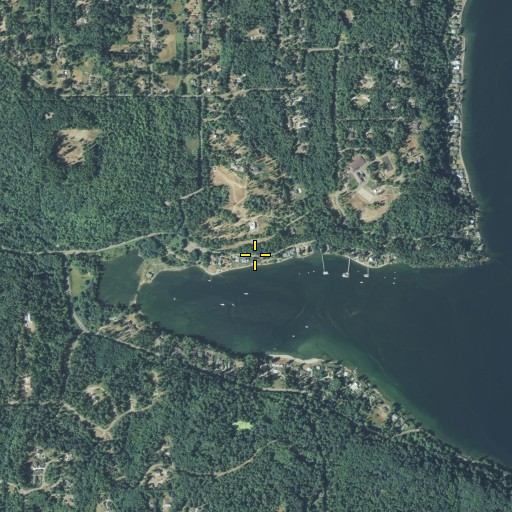 Aerial/Satellite Image of Port Blakely, WA