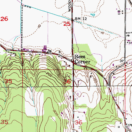 Topographic Map of Rees Corner, WA