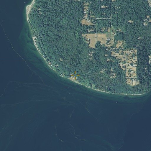 Aerial/Satellite Image of Rosehilla, WA