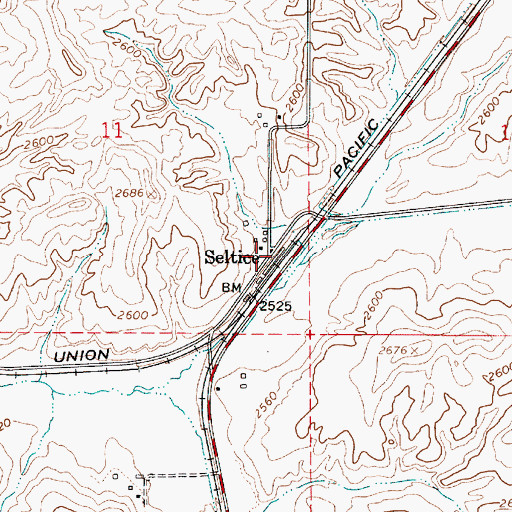 Topographic Map of Seltice, WA
