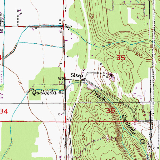 Topographic Map of Sisco, WA