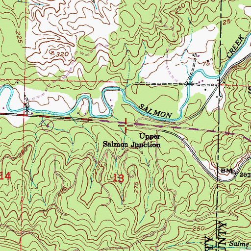 Topographic Map of Upper Salmon Junction, WA