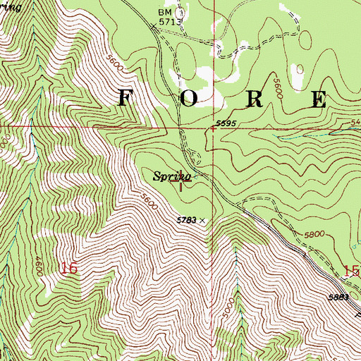 Topographic Map of Spruce Spring, WA