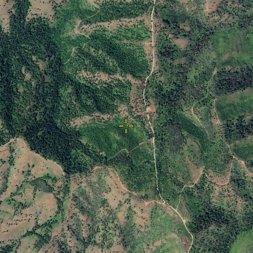 Aerial/Satellite Image of Stockade Spring, WA