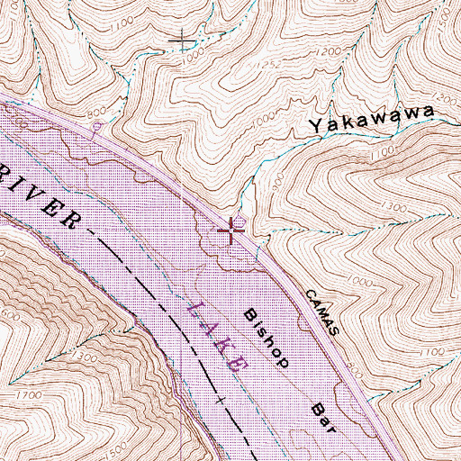 Topographic Map of Bishop, WA