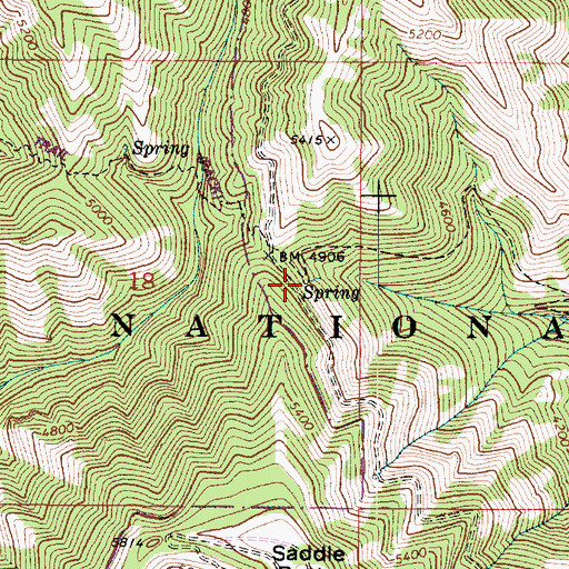 Topographic Map of Saddle Spring, WA