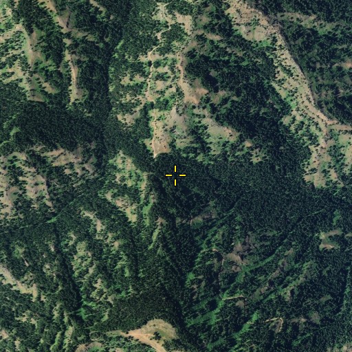 Aerial/Satellite Image of Saddle Spring, WA