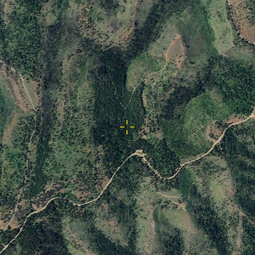 Aerial/Satellite Image of Alder Thicket Spring, WA