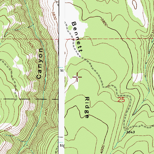 Topographic Map of Bennett Ridge, WA