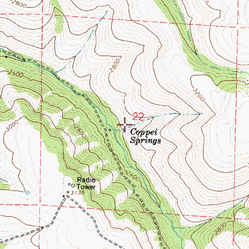 Topographic Map of Coppei Springs, WA
