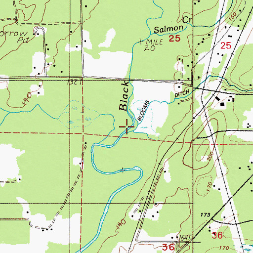 Topographic Map of Blooms Ditch, WA