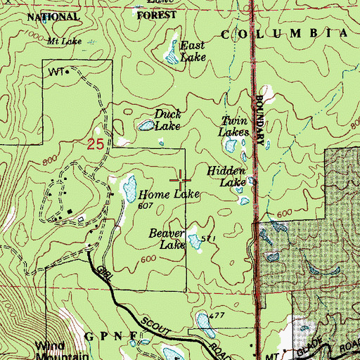 Topographic Map of New Lake, WA