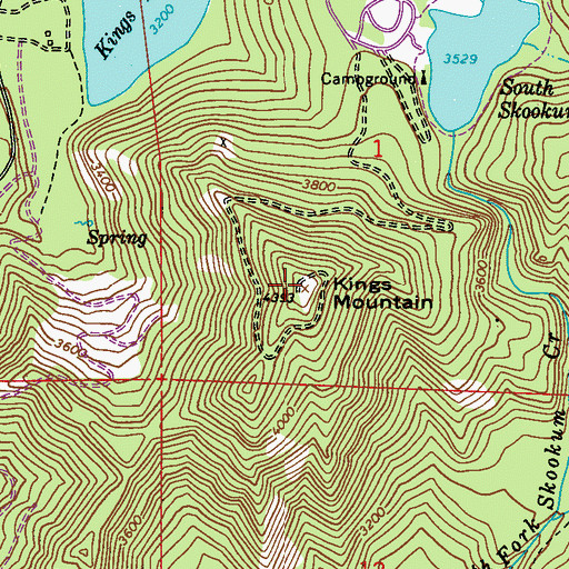 Topographic Map of Kings Mountain Lookout, WA