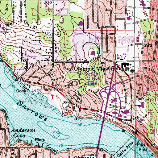 Topographic Map of Stevens Canyon Park, WA