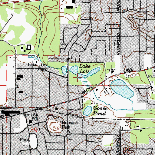 Topographic Map of Lake Lois, WA