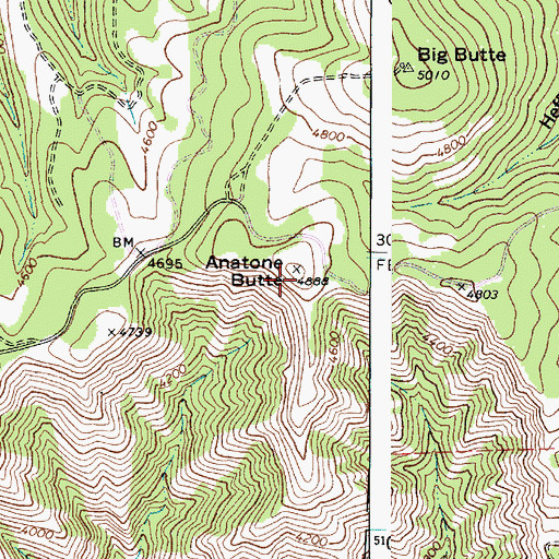 Topographic Map of Anatone Butte, WA
