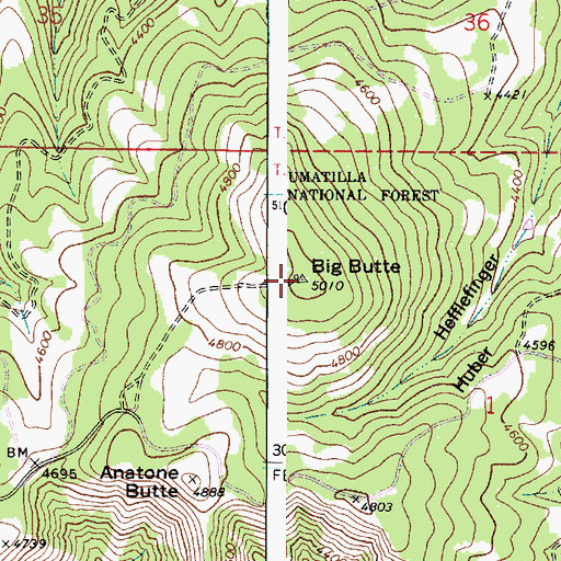 Topographic Map of Big Butte, WA