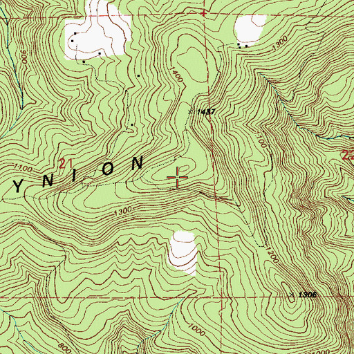 Topographic Map of Mount Brynion, WA