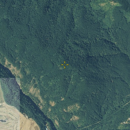 Aerial/Satellite Image of Buck Mountain, WA
