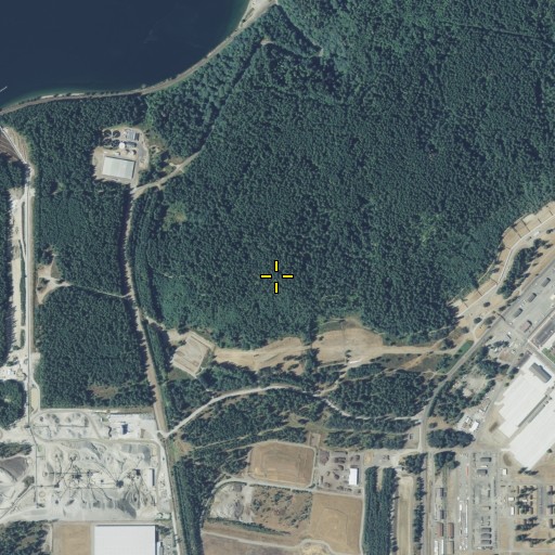 Aerial/Satellite Image of Burke Hill, WA