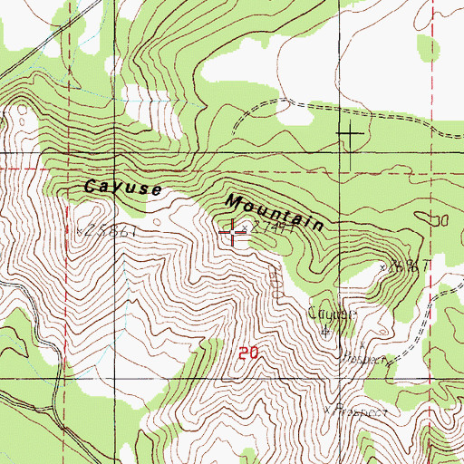 Topographic Map of Cayuse Mountain, WA