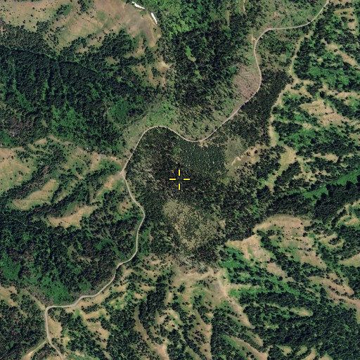 Aerial/Satellite Image of Chase Mountain, WA