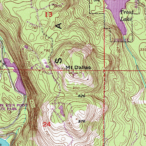 Topographic Map of Mount Dallas, WA