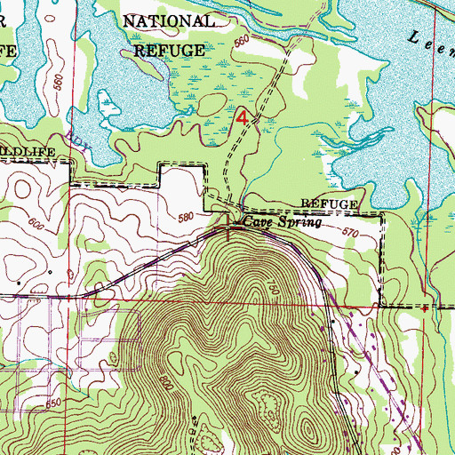 Topographic Map of Cave Springs, AL