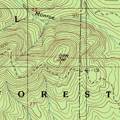 Topographic Map of Fuzzy Top, WA
