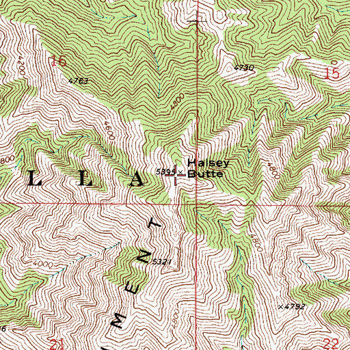 Topographic Map of Halsey Butte, WA