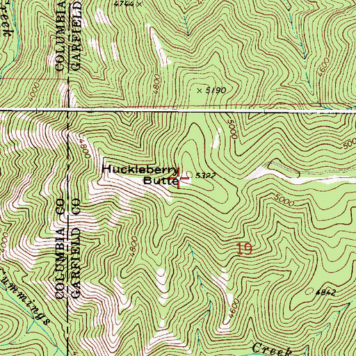 Topographic Map of Huckleberry Butte, WA