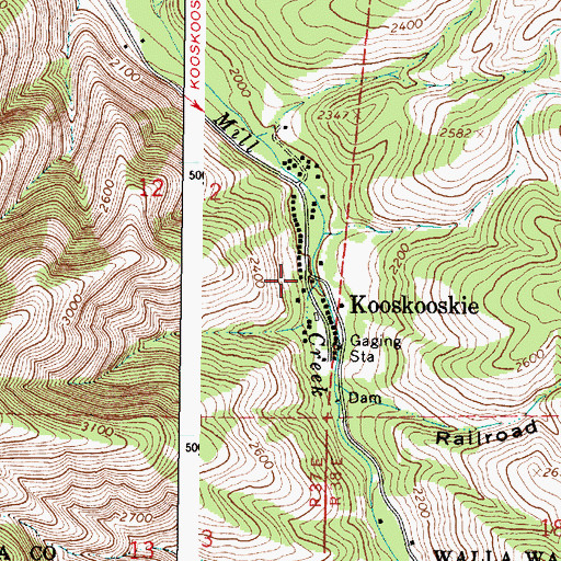 Topographic Map of Kooskooskie, WA