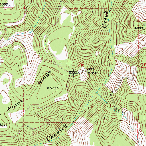 Topographic Map of Lost Point, WA