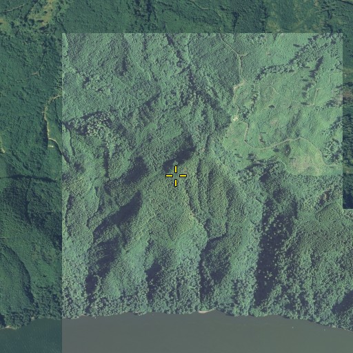 Aerial/Satellite Image of Lutes Mountain, WA