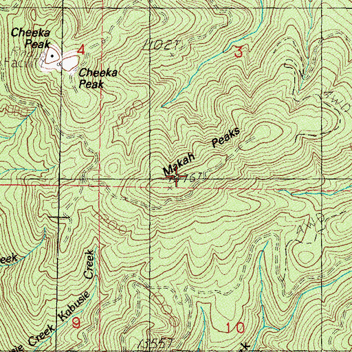 Topographic Map of Makah Peaks, WA
