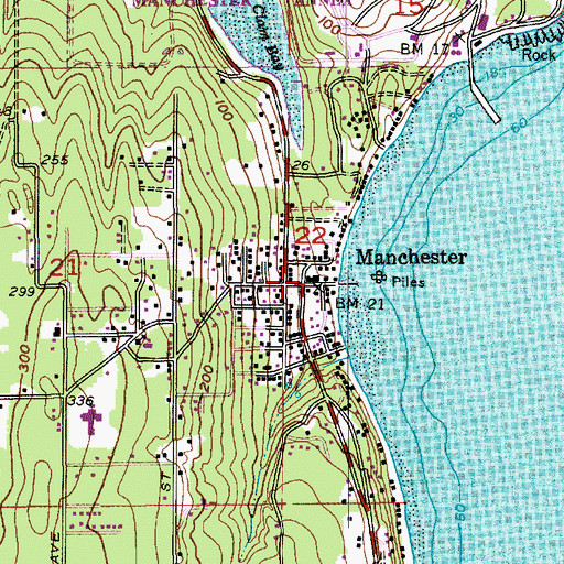 Topographic Map of Manchester, WA